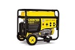 Champion 4000 Portable Gas Generator to Power Sump Pumps and other electrical devices.