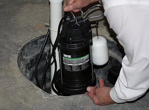 Wayne Cast Iron Submersible Sump Pump.